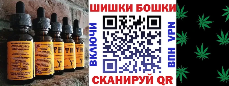 Canna-Cookies конопля где найти Вышний Волочёк