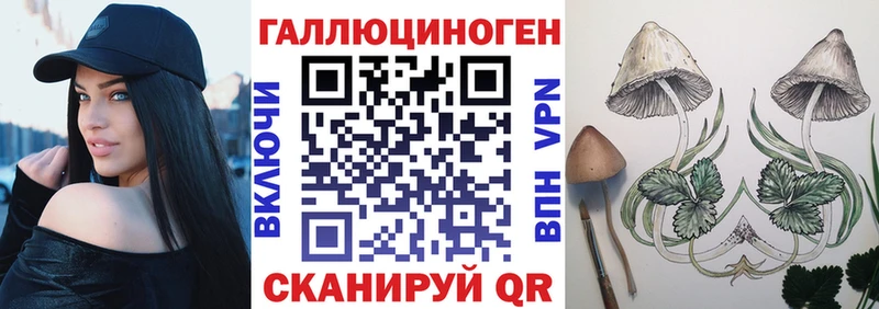 что такое   Вышний Волочёк  ссылка на мегу маркетплейс  Псилоцибиновые грибы мицелий 